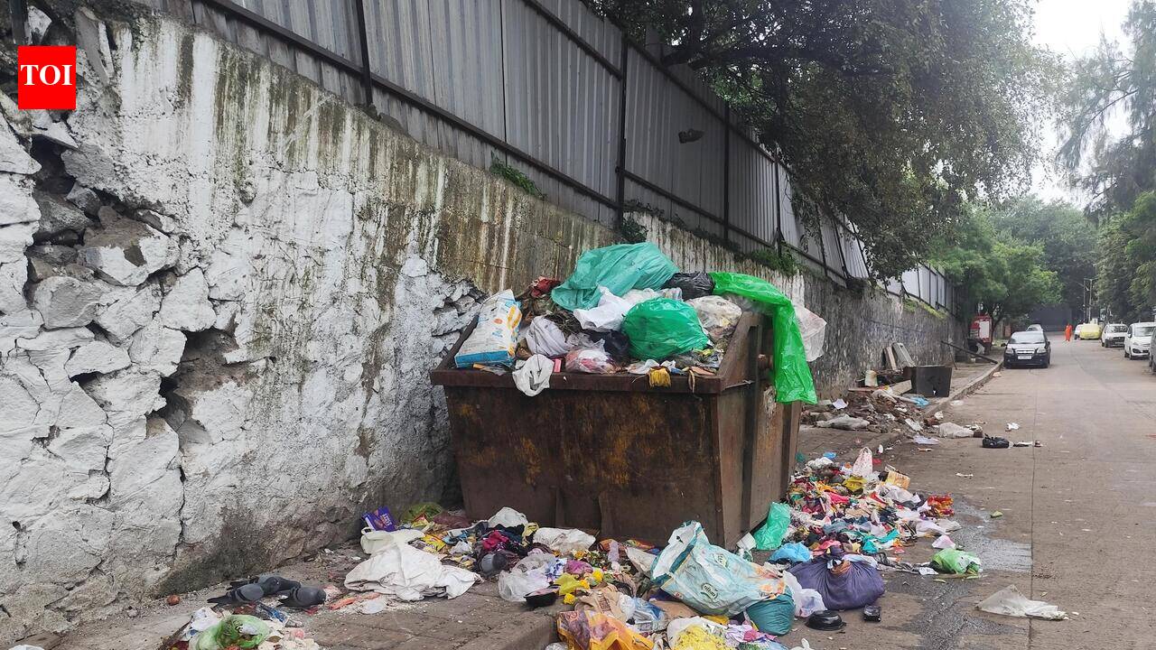 Garbage lifting under strain, some relief after 250 vehicles join fleet next month
