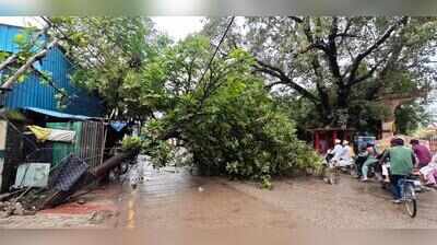 Heavy rain hits life in Kashi; civic teams clear waterlogging, fallen trees