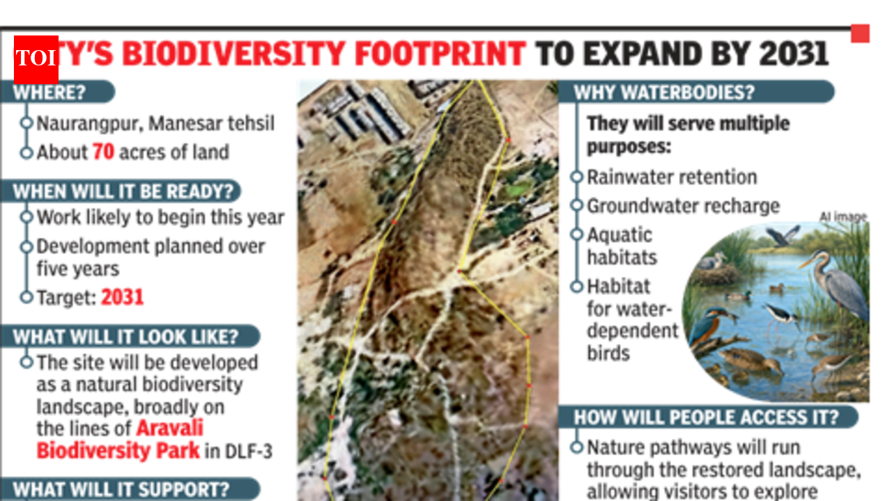 Gurgaon’s second biodiversity park in Naurangpur