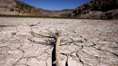 COP17: New global architecture for drought resilience launched at UNCCD meet
