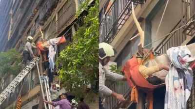 Video: Tree breaks newlywed woman's 10th-floor fall, but branch pierces her thigh in Mumbai