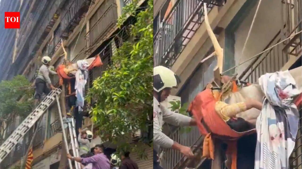 Video: Tree breaks Mumbai woman's 10th-floor fall, but branch pierces her thigh