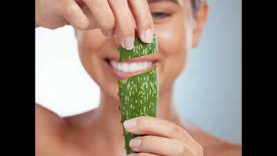 Why aloe vera remains a timeless skincare ingredient