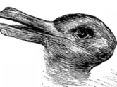 Optical illusion personality test: What you spot in the first 5 seconds reveals your true nature