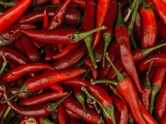 Which city is known as the chili capital of India? The answer may surprise you