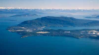 In 1974, a biologist moved to a Washington island because one marsh supported 80 bird species; he devoted the rest of his life to it, and neighbours later created a wildlife preserve
