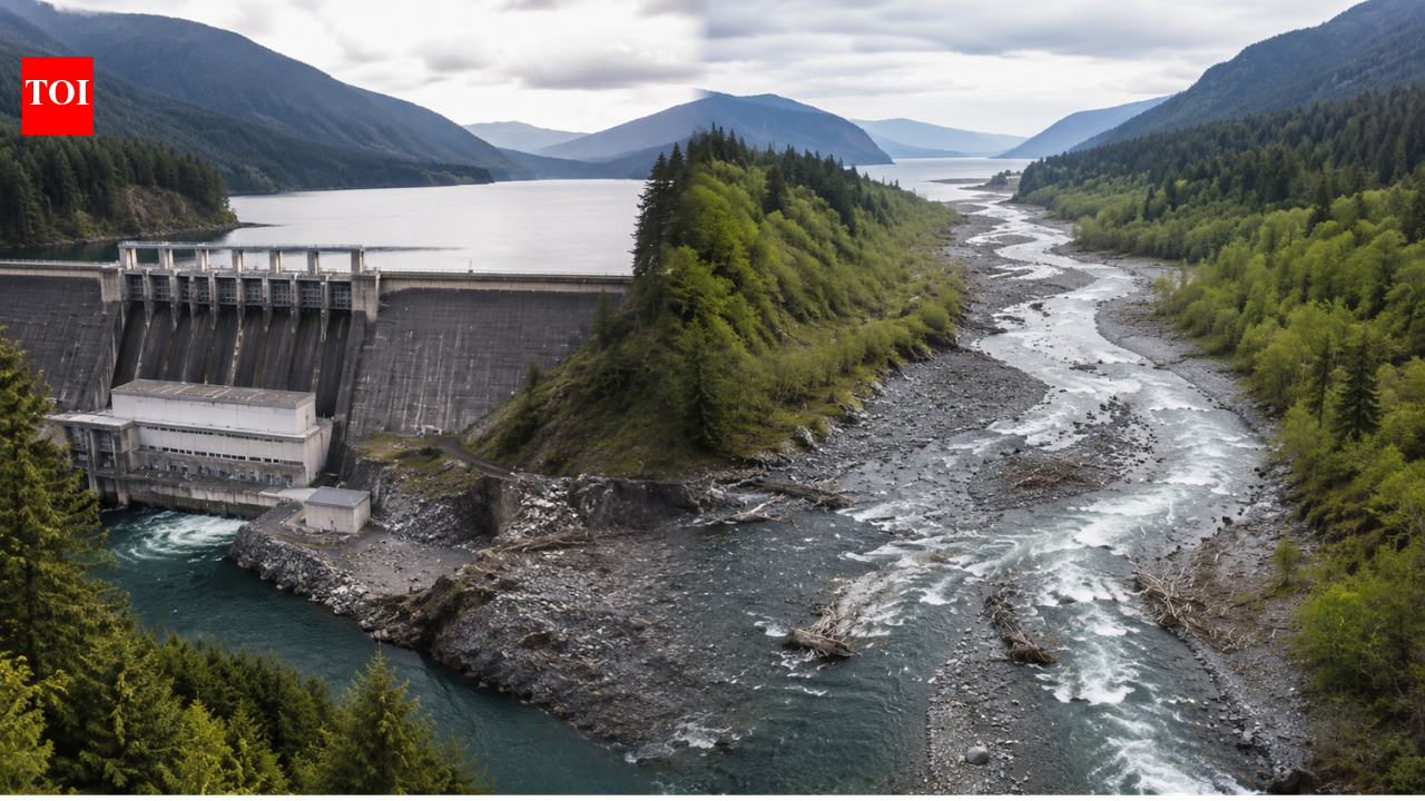 In 1992, Congress ordered the removal of 2 dams blocking the Elwha River—24 years later, the river finally ran free to the Sea