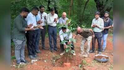 City to see a rise in urban forest projects