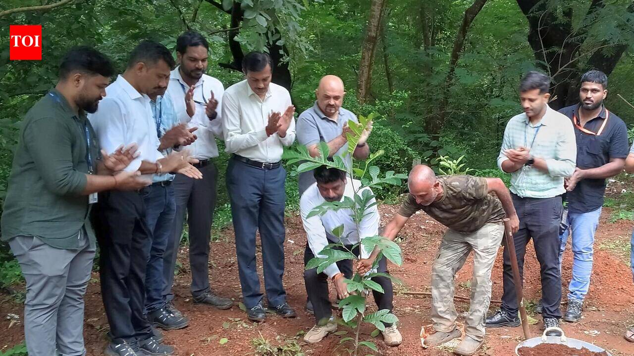City to see a rise in urban forest projects