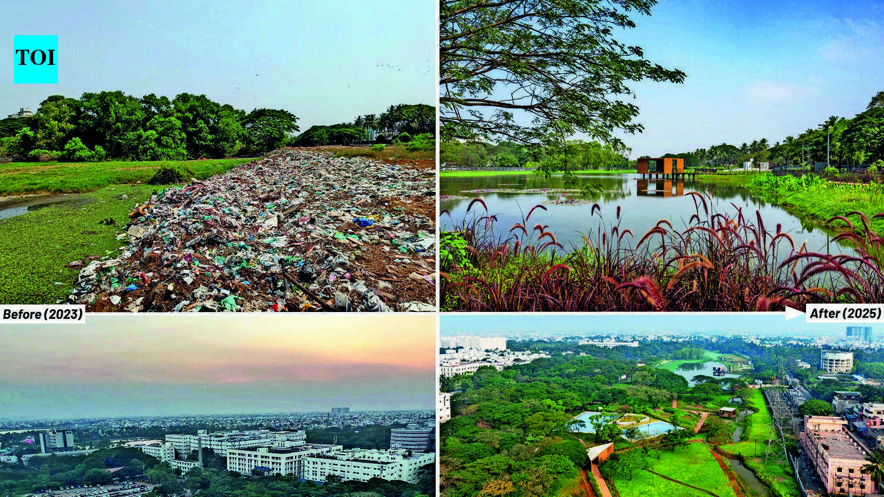Dr M S Swaminathan Wetland Eco Park Transforms Dump Into India’s First Sponge Park