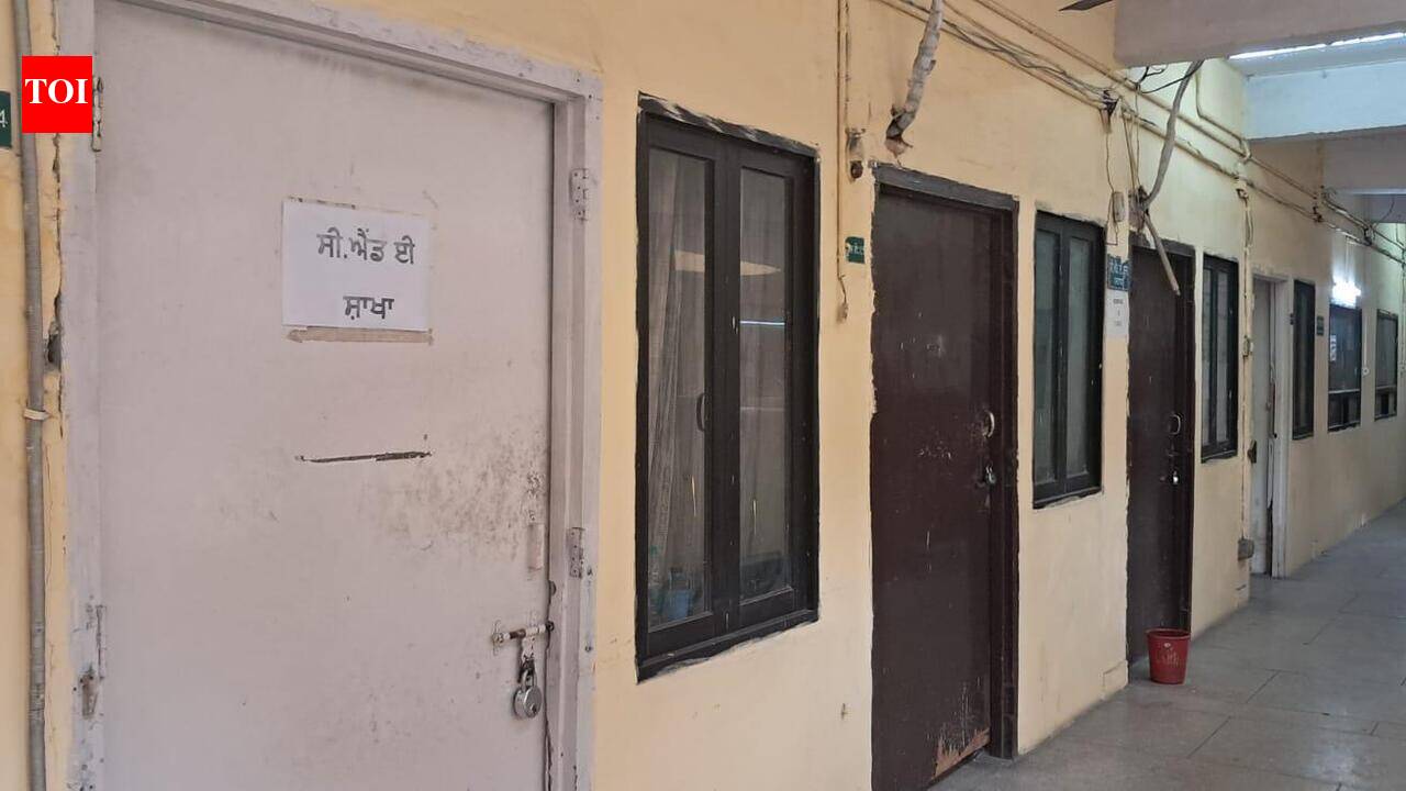 Civic services on hold as strike leaves MC offices deserted