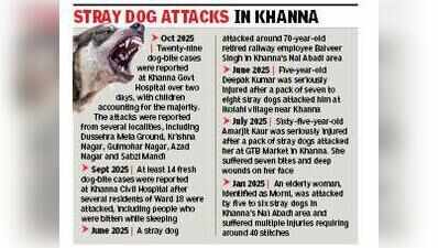 Baby seriously injured after stray dog mauls head & neck