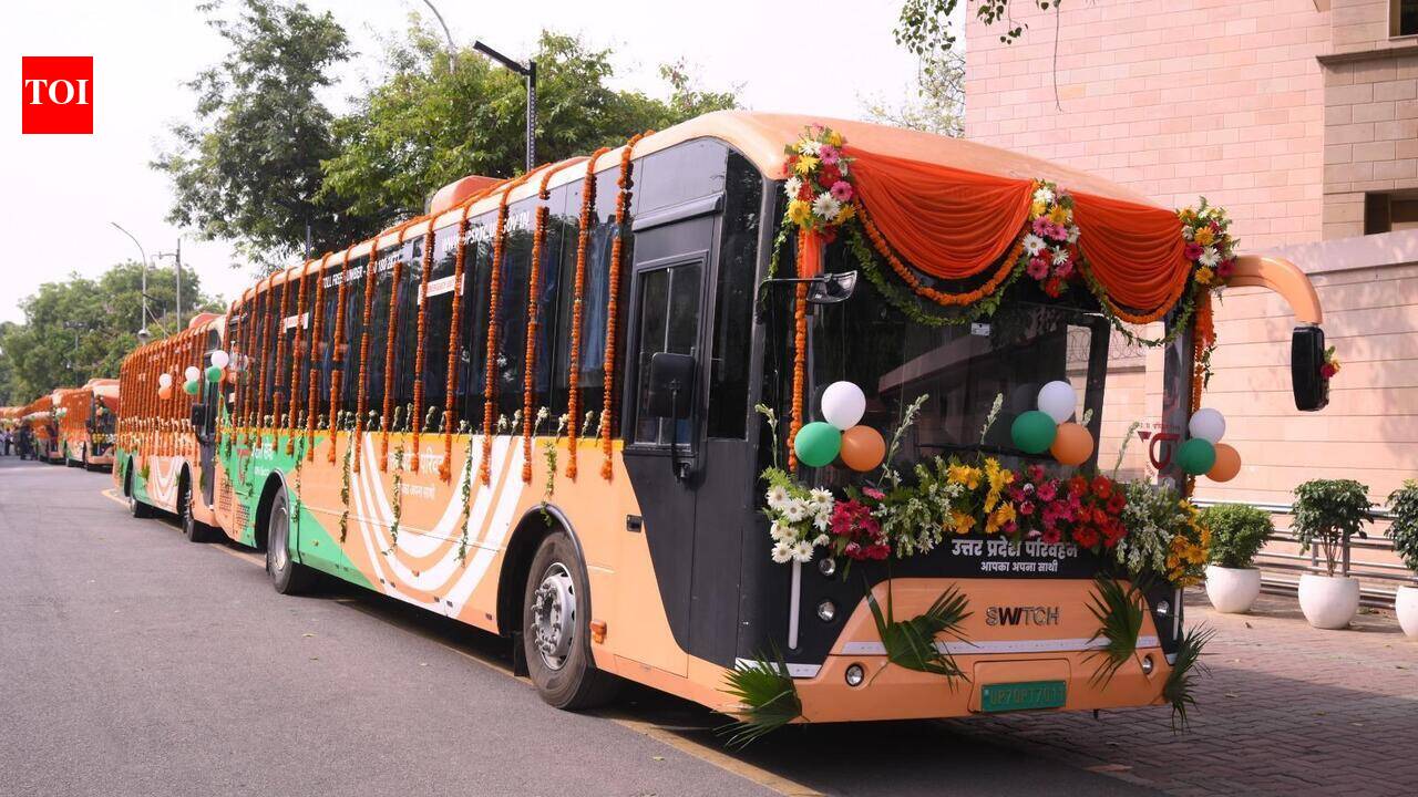 Women over 60 to travel free in UP buses