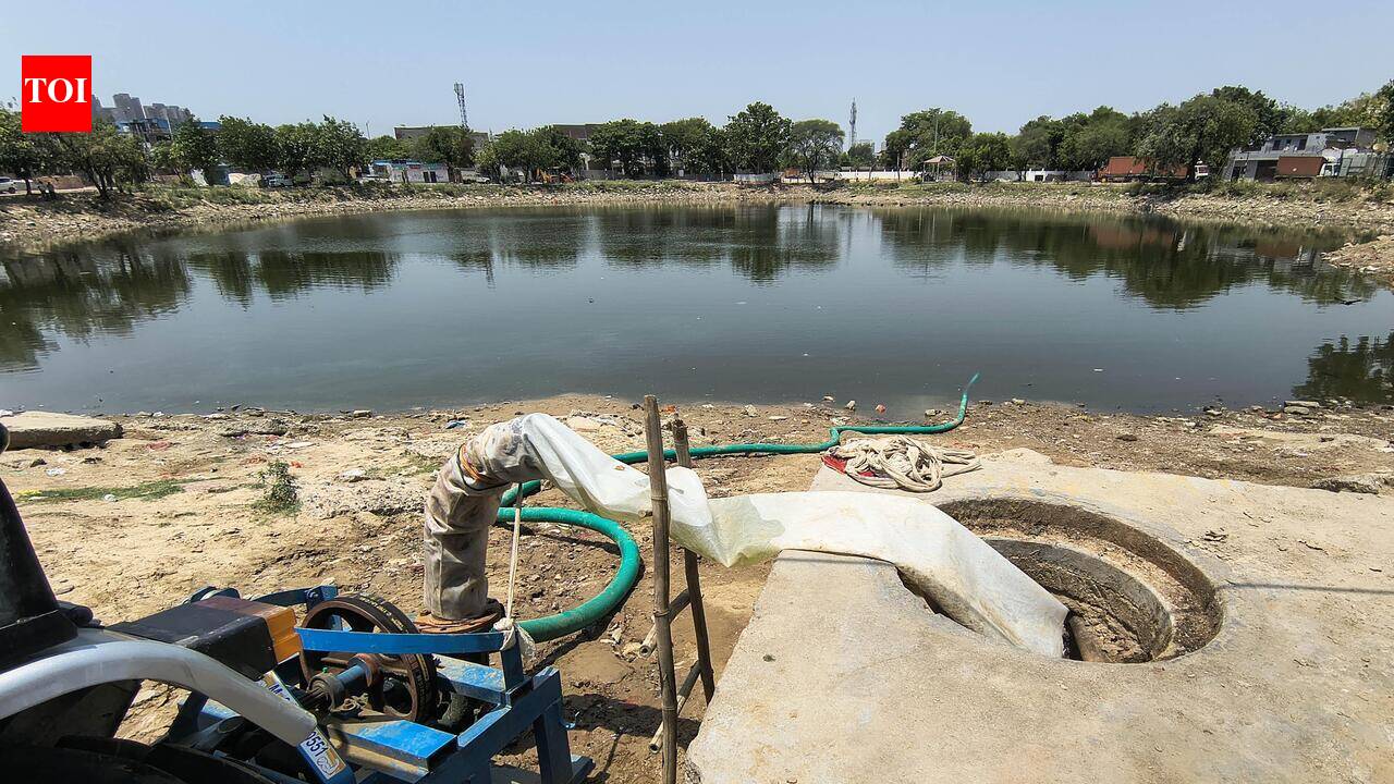 Metro pillars planned at Basai pond's edge raise ecological concerns