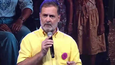 BJP cites ‘jhooth ki goonj’ site to hit out at Rahul Gandhi