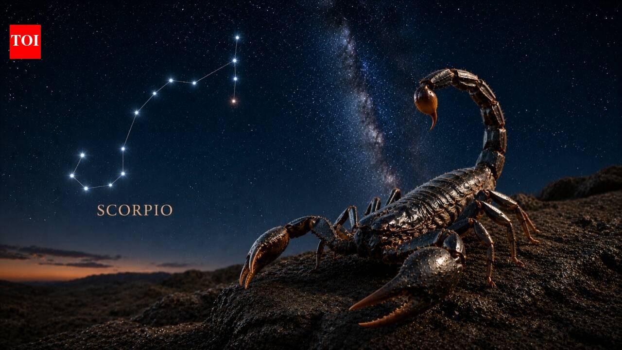 AstrologyScorpio Horoscope Today: Focus powers dec