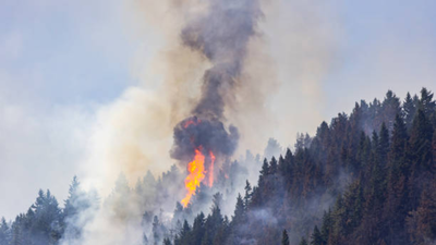 In 2017, a wildfire advanced toward Roslyn, Washington; nine years later the town has deliberately burned 500+ acres of forest to build a protective shield against future fires