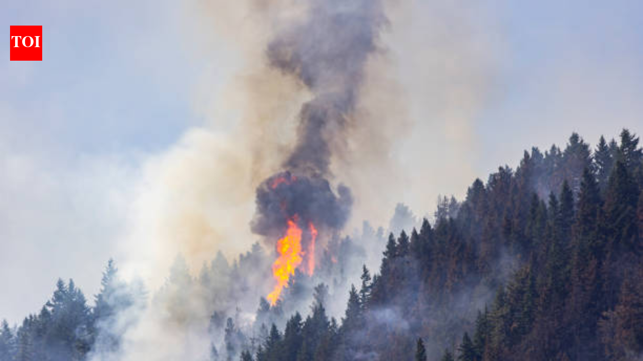 In 2017, wildfire neared Roslyn; 9 years later, the town burned 500+ acres to prevent future fires