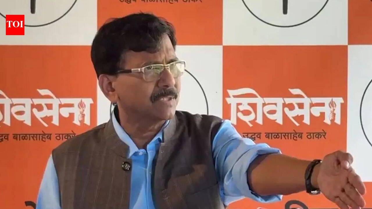 'Delhi's pressure': Sanjay Raut on Maharashtra govt's one-year extension for drivers to learn Marathi