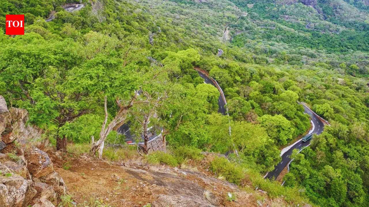 Want a road trip with a view? 5 Western Ghats drives travellers shouldn’t skip