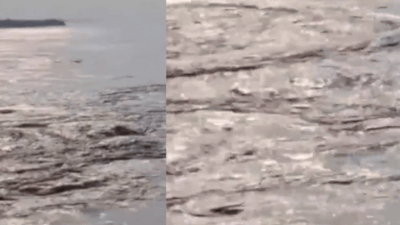 After Nepal flash floods, Bihar faces deluge threat as several rivers swell and cross danger mark