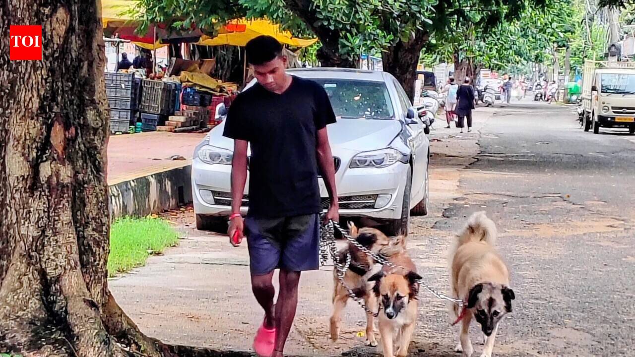 City mayor warns owners of strict action if pets defecate in the open