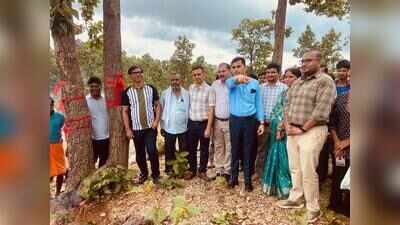 Rakhis for green guardians: Villagers pledge to protect 1 lakh trees