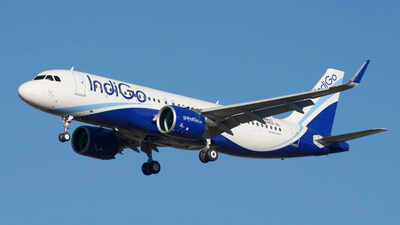 IndiGo Ventures invests in Sarvam to enhance Artificial Intelligence in aviation