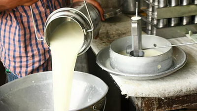 Buffalo dairies increase milk price by record Rs 9 per litre in Mumbai
