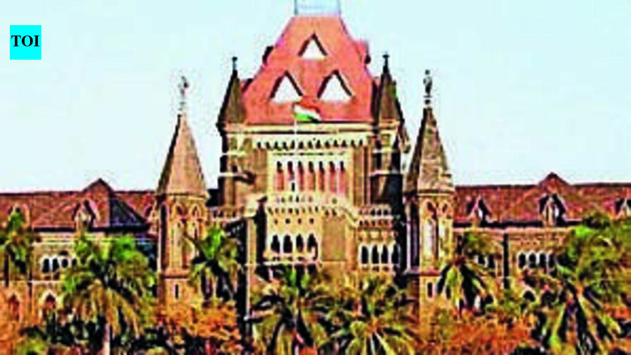 Chance to reform: Bombay high court quashes FIR against youth who brandished sword to ward off mob