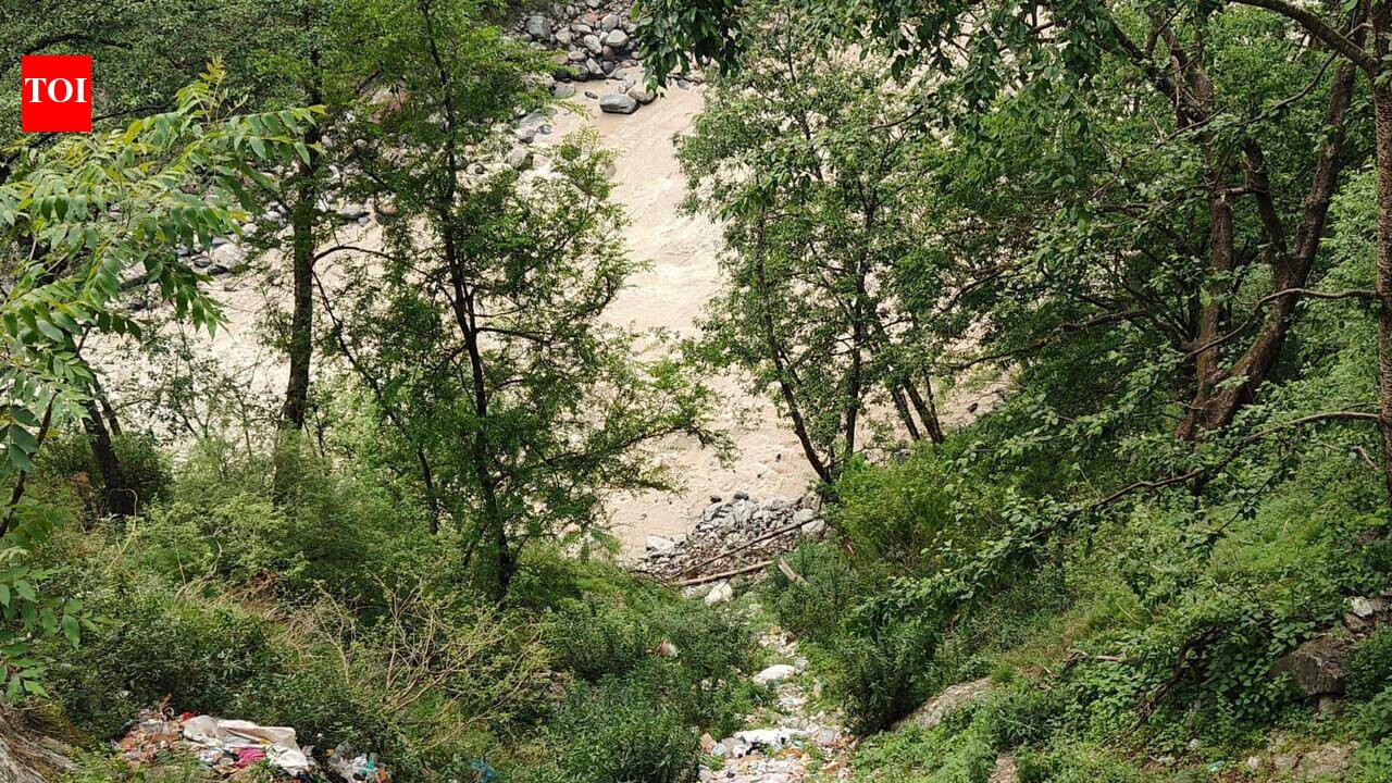 5 Ganga states generate 32% more sewage than can be treated: RTI
