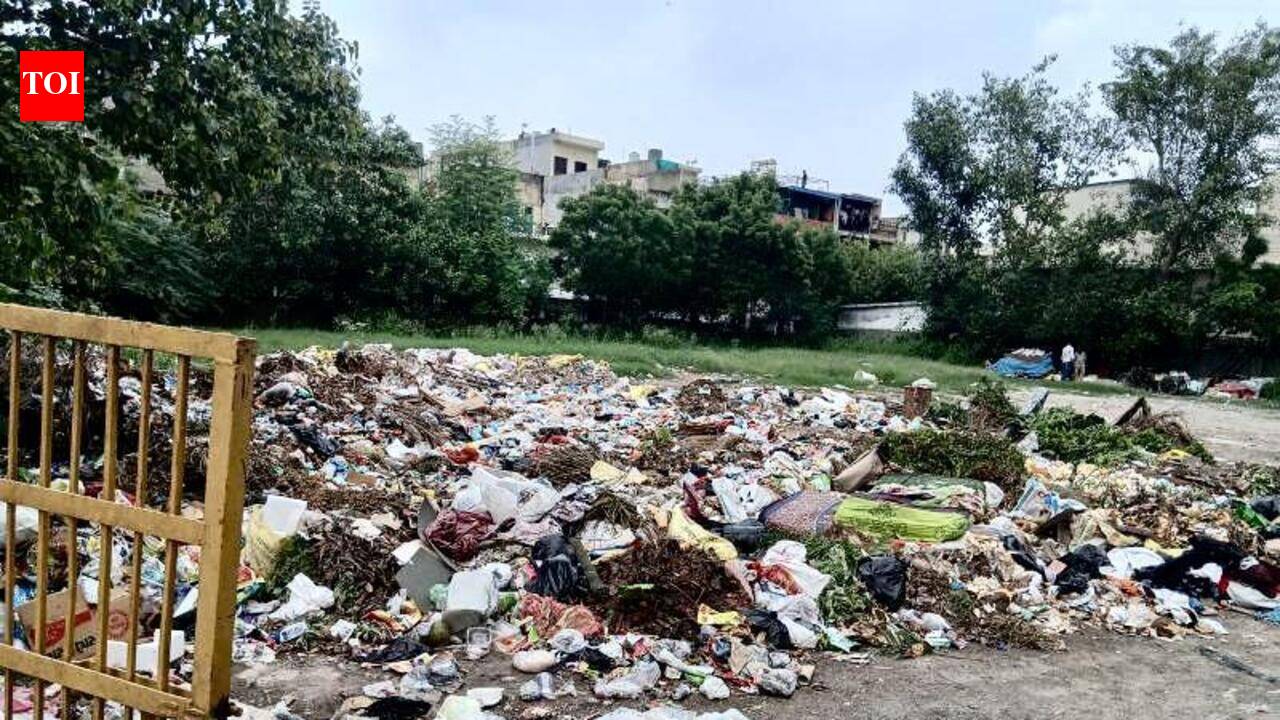 Noida forms teams to stop waste dumping at night