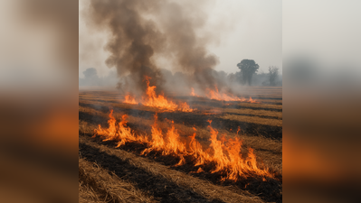 Punjab plans Rs 26cr push to curb stubble burning