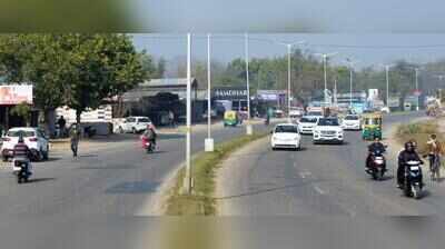 Bulk market plan gets a fresh green reset amid NGT tree row