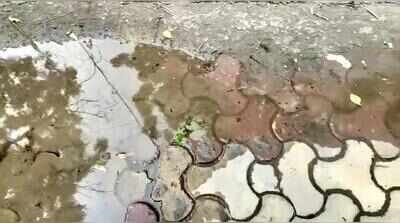 Pipe breaks, water collects on roads in Sector 12