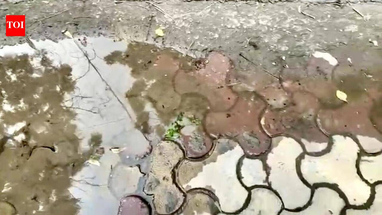 Pipe breaks, water collects on roads in Sector 12