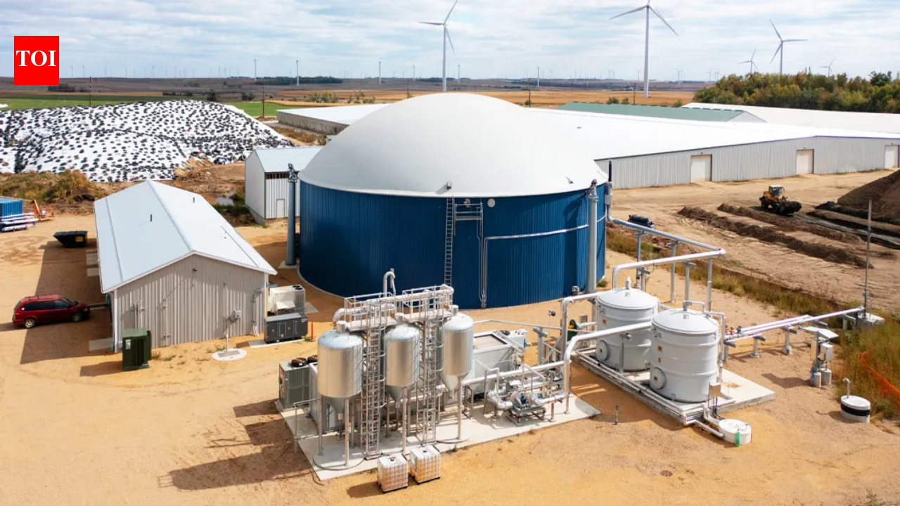 In 2024, a Minnesota dairy began turning manure from more than 2,000 cows into renewable gas