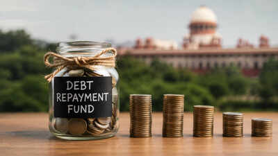 Delhi sets up fund to repay debt