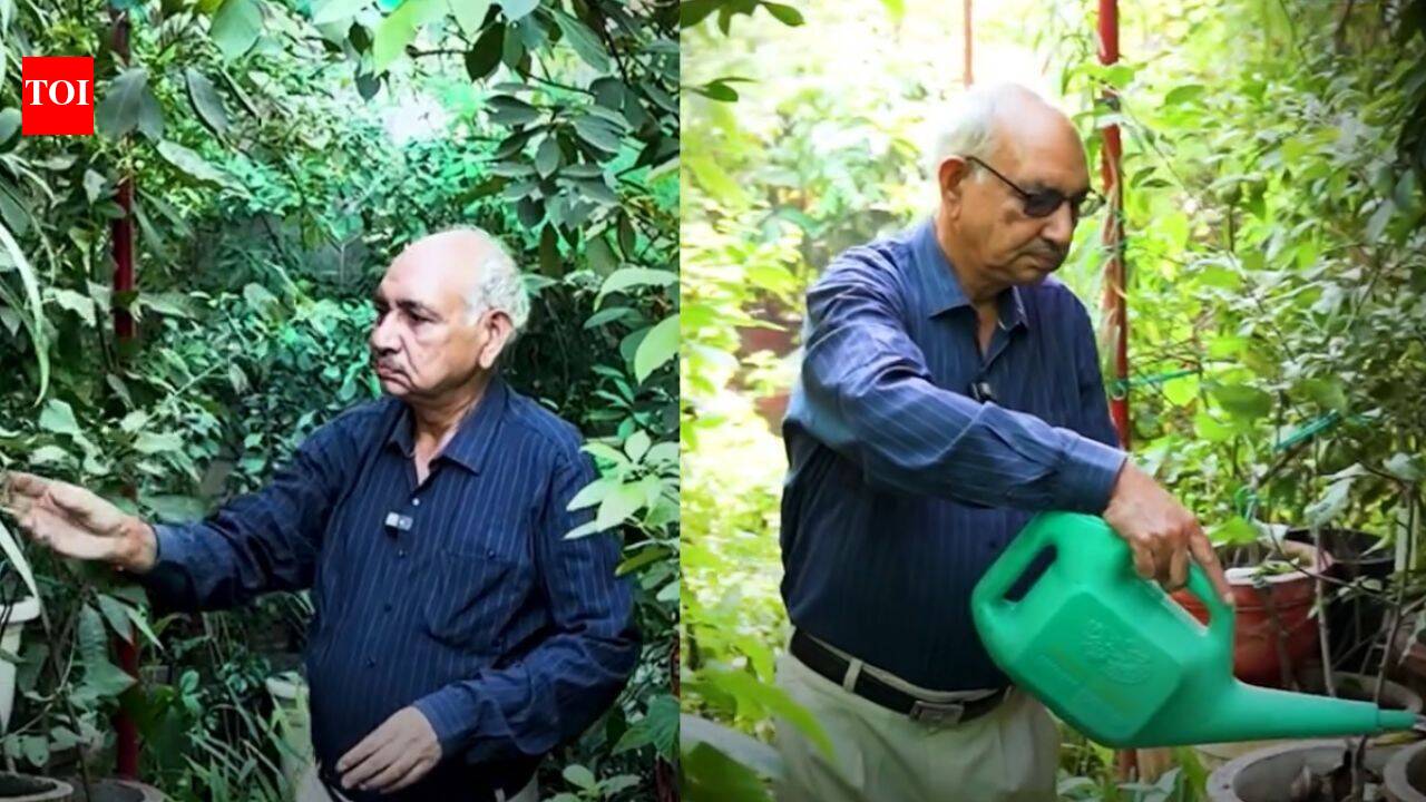 Life StyleDelhi Man’s Mini Orchard: Retired tax of