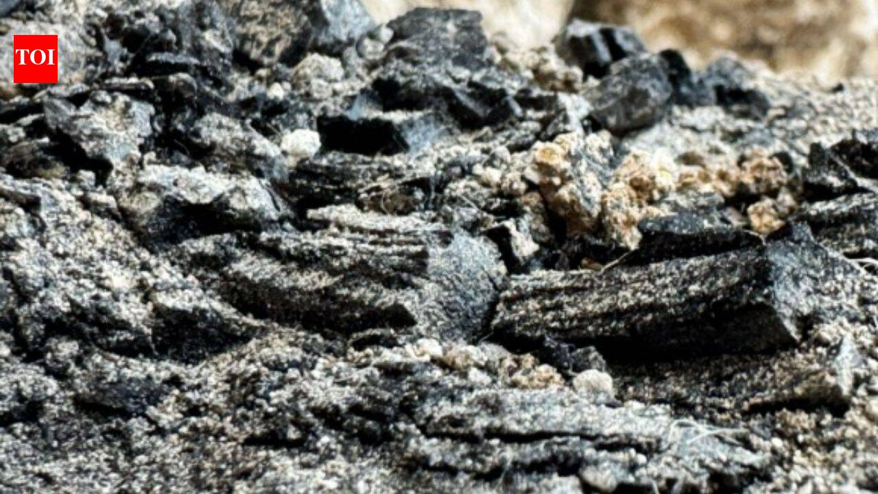 A wooden relic that survived the sack of Jerusalem's First Temple was unearthed by archaeologists, now they are finding shocking answers