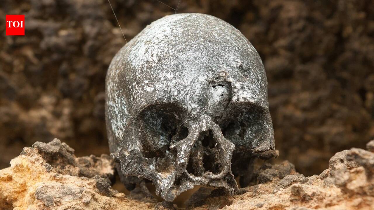 Life StyleInca mummies reveal first DNA evidence: 