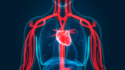 The heart health risk hiding in your bedroom, not your kitchen: Can poor sleep harm your heart even if you have a healthy lifestyle? Cardiologist explains the hidden risk