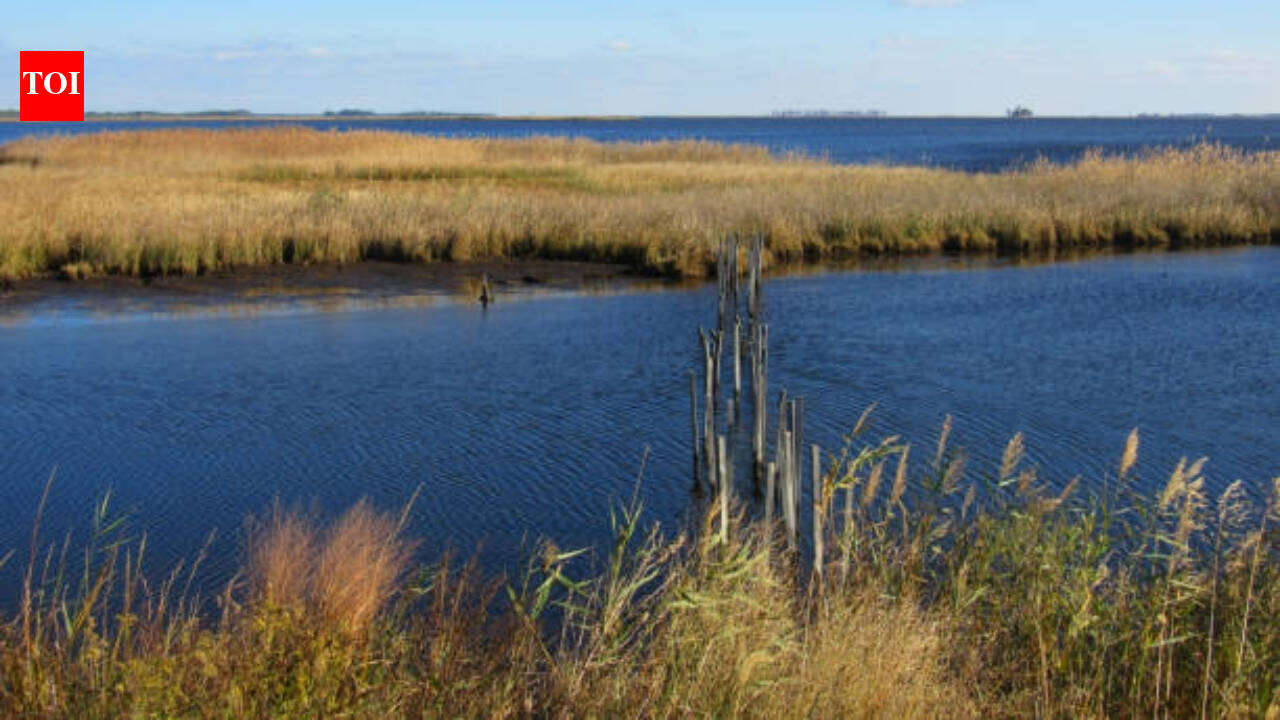 Aviation pioneer Glenn L. Martin donated over 2,500 acres in 1954, helping create a refuge for migratory birds