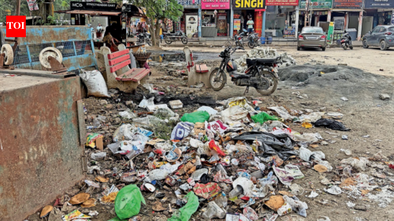 HC scrutiny fails to clear Gurgaon's mounting garbage mess