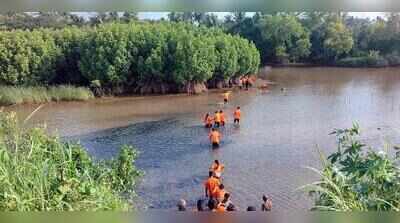 Roche launches mangrove plantation drive along Nethravathi