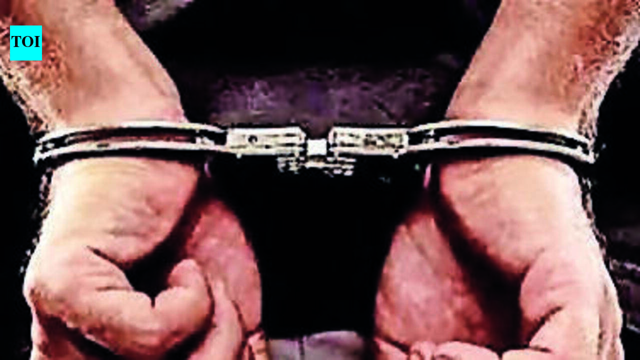 Vijayawada police arrest 2 for raping, assaulting woman