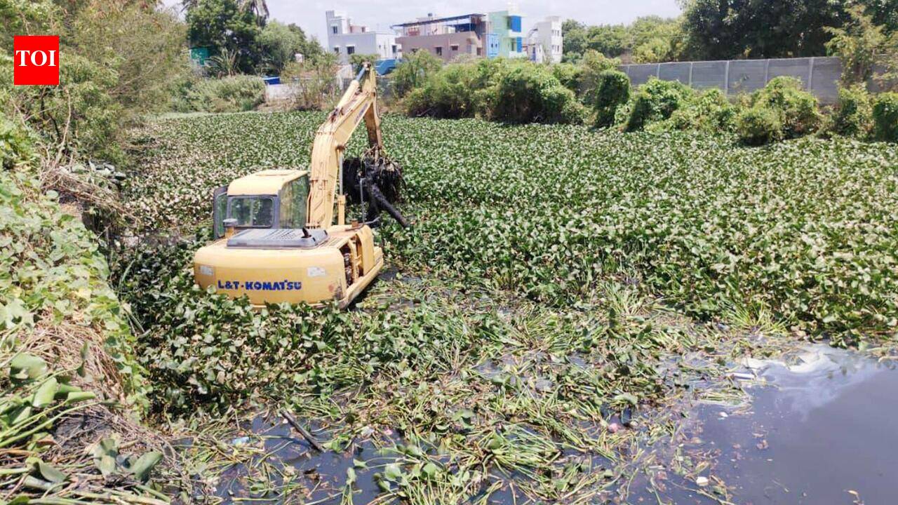 WRD begins deweeding work on Uyyakondan canal
