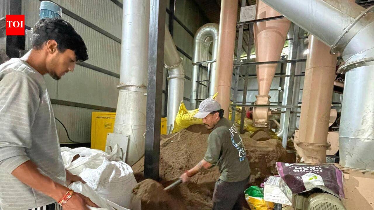 Mule dung, pine needles to fuel Kedarnath’s green push from September