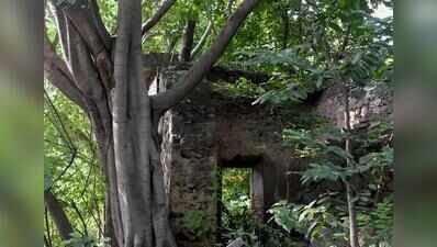 Beneath Modi Mill flyover, a lost Mughal-era sarai awaits heritage tag