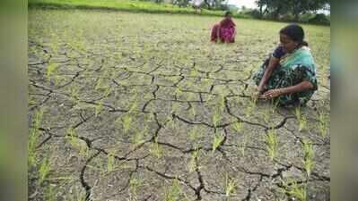 Karnataka to seek drought relief from Centre